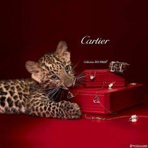Cartier Logo - 5 big fashion brand logos and the 21 design & marketing tips you can ...