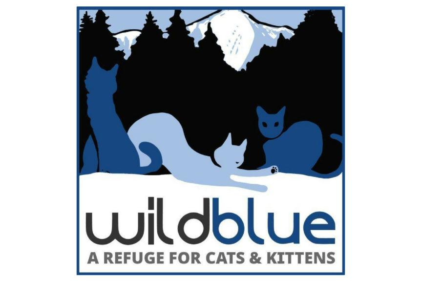 Blue Cat Logo LogoDix