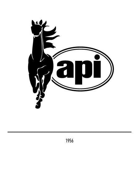 API Logo - The Api Ip logo - History and evolution