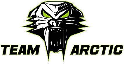 Arcticcat Logo - Nostalgia Decals Team Arctic Cat Version 3 which is a 6 inch Decal from The United States