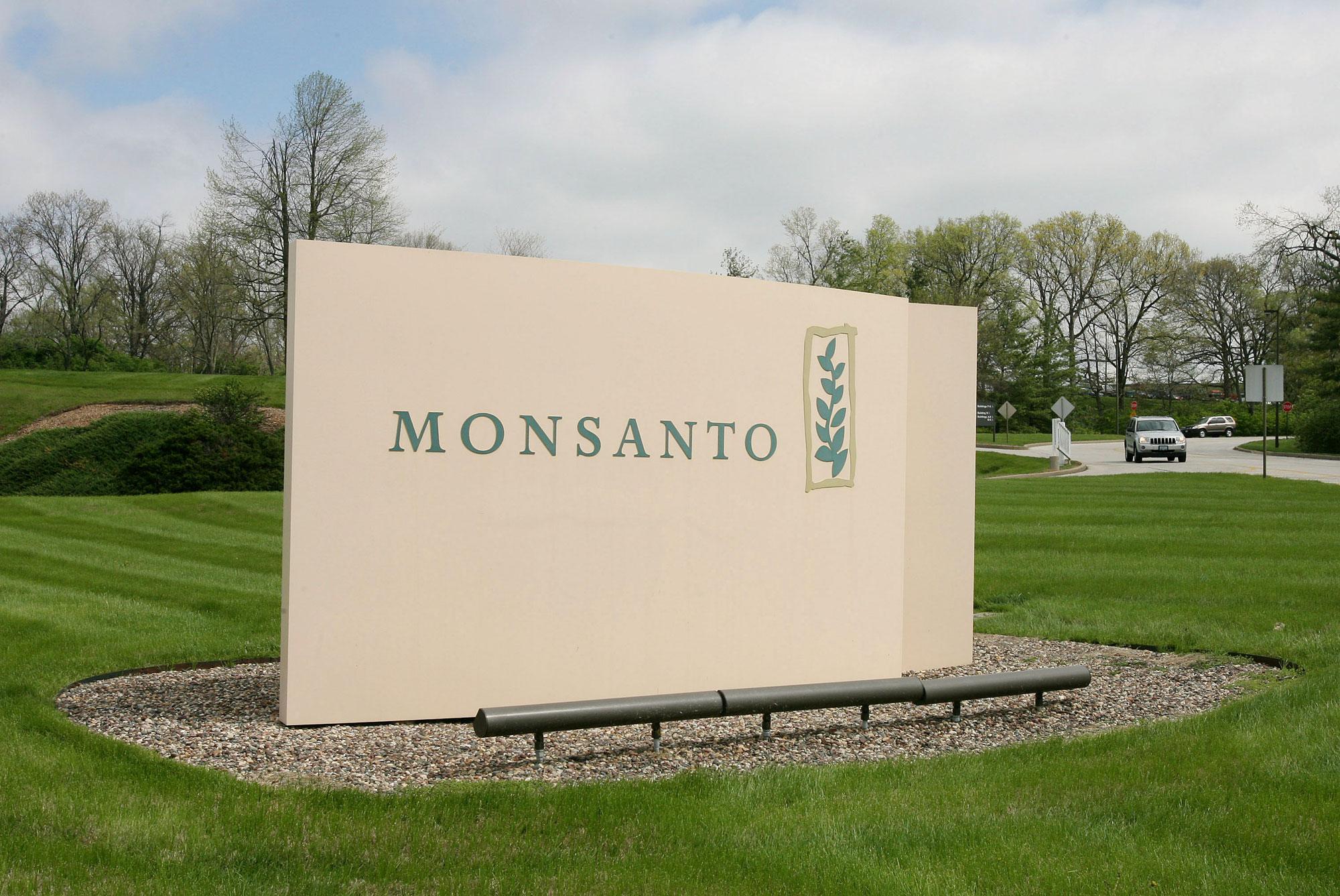 Monsanto Logo - Monsanto Cutting 600 Jobs In Restructuring As Corn Sales Slide