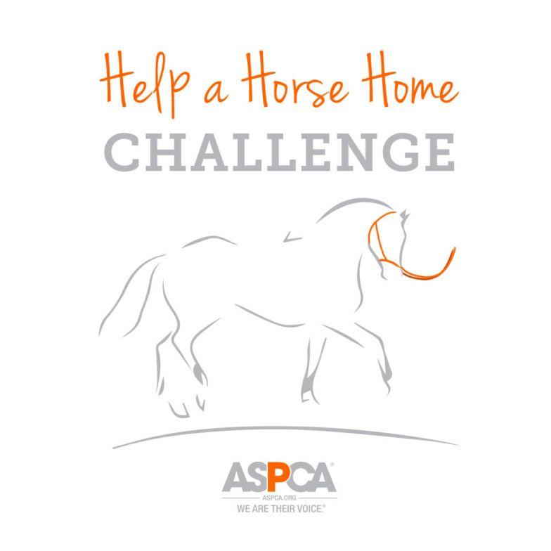 ASPCA Logo - Help a Horse Home: The ASPCA Equine Adoption Challenge