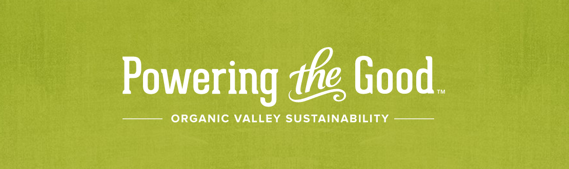 Organic Valley Logo - How We Helped the Organic Valley Quirky Farmers Save the World