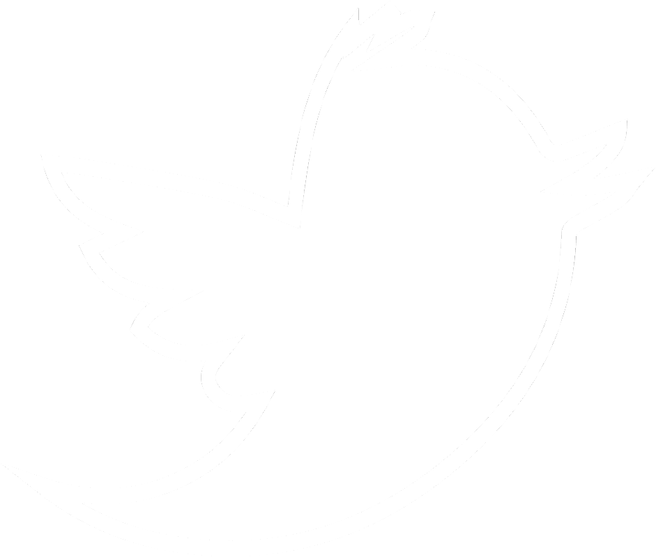 White Twitter Bird Logo - Twitter White Square Logo Png Image