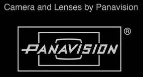 Panavision Logo - Image - Panavision Dallas Buyers Club.png | Logo Timeline Wiki ...