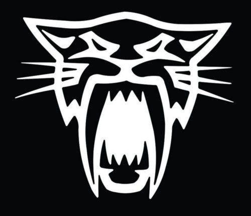 Arcticcat Logo - Arctic Cat Logo Vinyl Decal Sticker