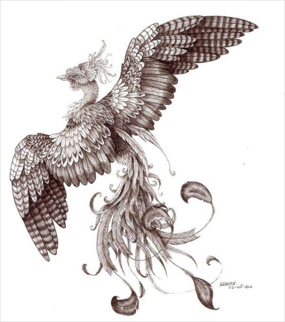 Phoenix Bird Drawing Logo - 20+ Mind Blowing Phoenix Bird Art Drawings | Free & Premium Templates