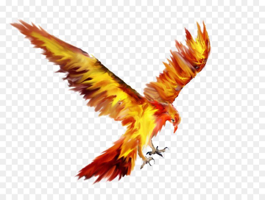 Phoenix Bird Drawing Logo - Phoenix Bird Tattoo Sketch Drawing - Phoenix png download - 1024*768 ...