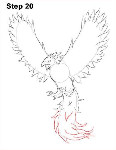 Phoenix Bird Drawing Logo - How to Draw a Phoenix