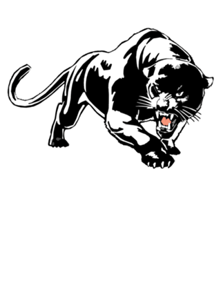Black and White Panthers Logo - Camiseta Black Panther do Studio Josecarlospirralho por R$55,00 ...