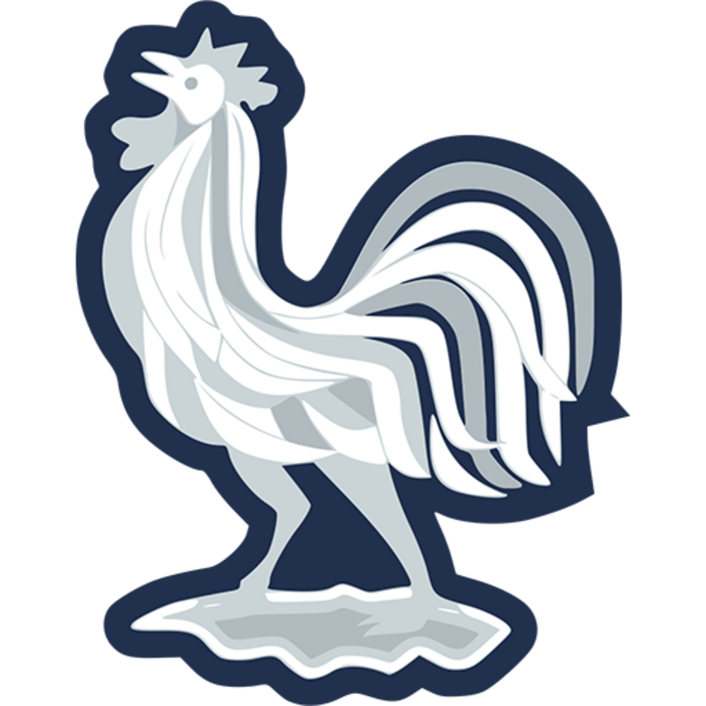 France national football team logo