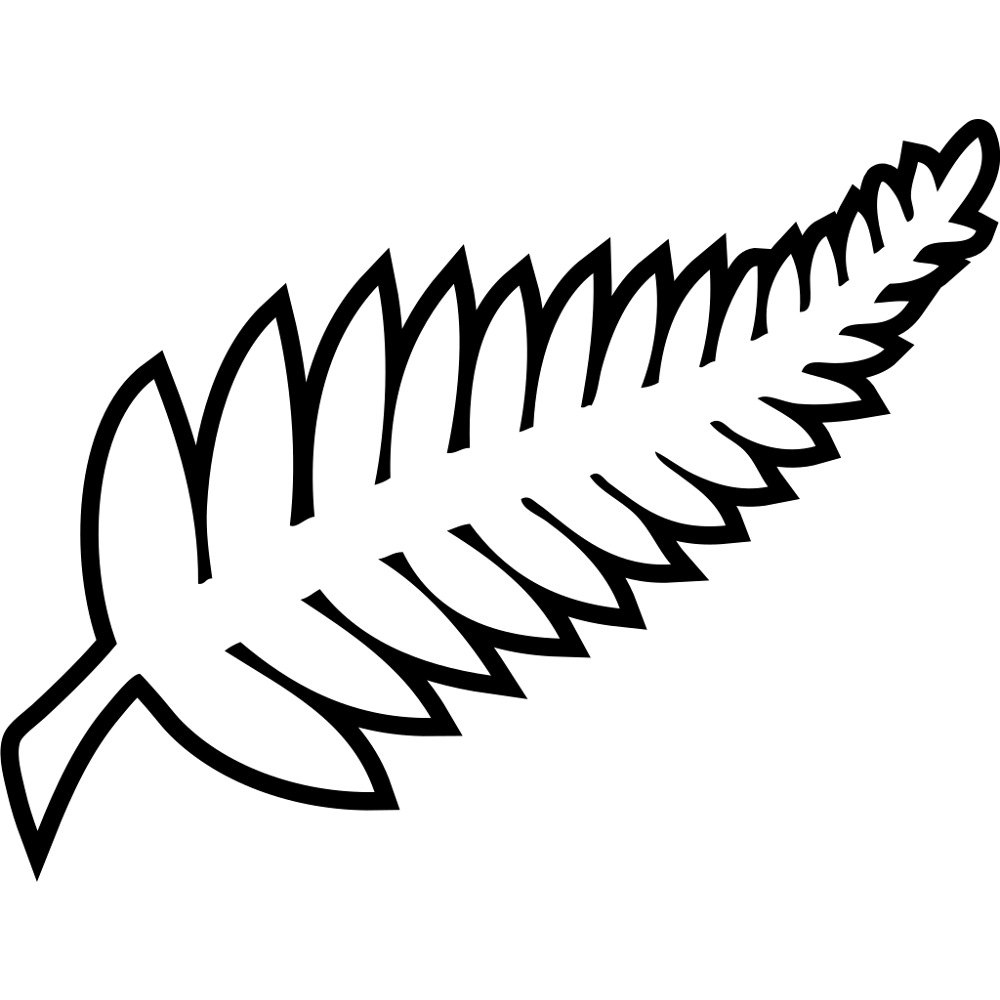 New Zealand national football team logo
