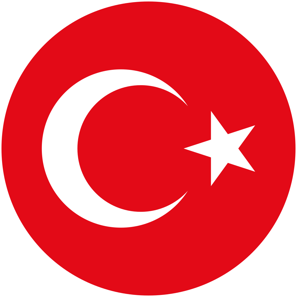 Türkiye national football team logo