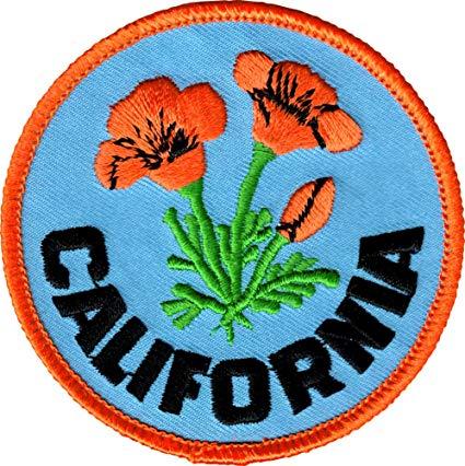 Orange Poppy Logo - Amazon.com: Orange California Poppies with Logo on Blue Background ...