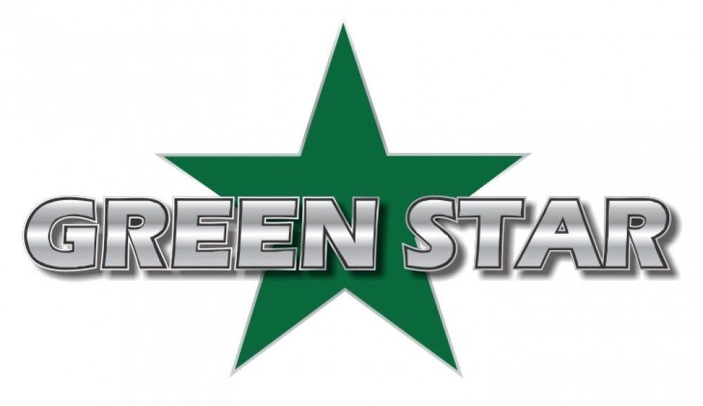 Green star leaf logo Royalty Free Vector Image