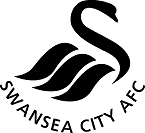 Swansea City Logo - Swansea City Ladies F.C