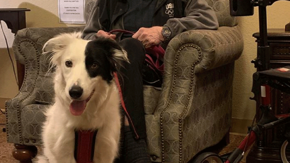 Nursing Dog Logo - Oklahoma Man, Dog Share Valentine's Joy With Nursing Home Reside ...