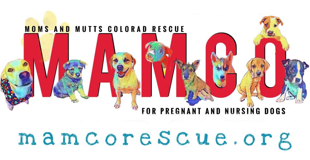 Nursing Dog Logo - mamcorescue.org – Moms and Mutts ~ Colorado Rescue for Pregnant and ...