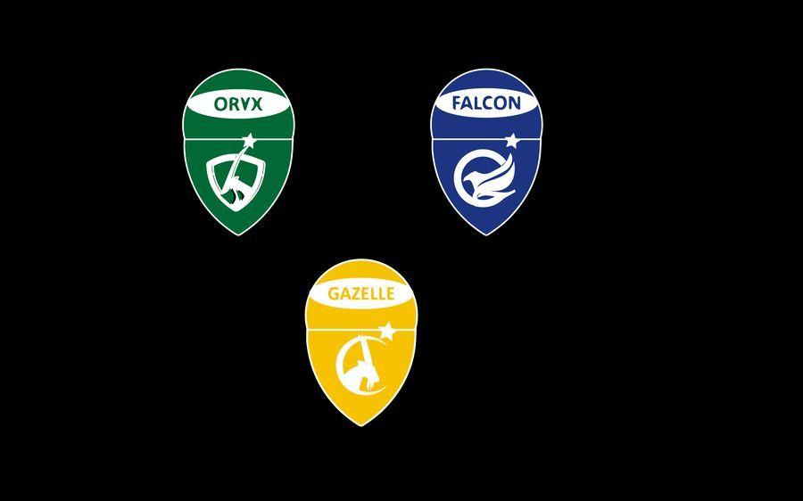 Blue and Yellow Falcon Logo - Entry by Arfankha for 4 School House Logos. We have Oryx green