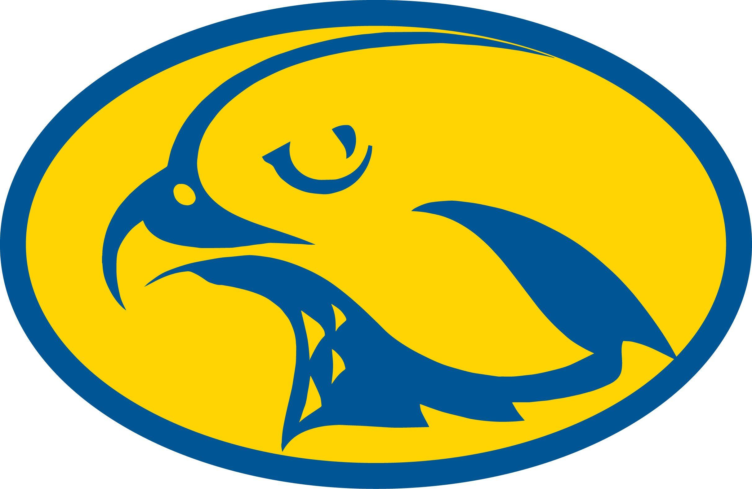 Blue and Yellow Falcon Logo - NECIS Sports - International School Hamburg