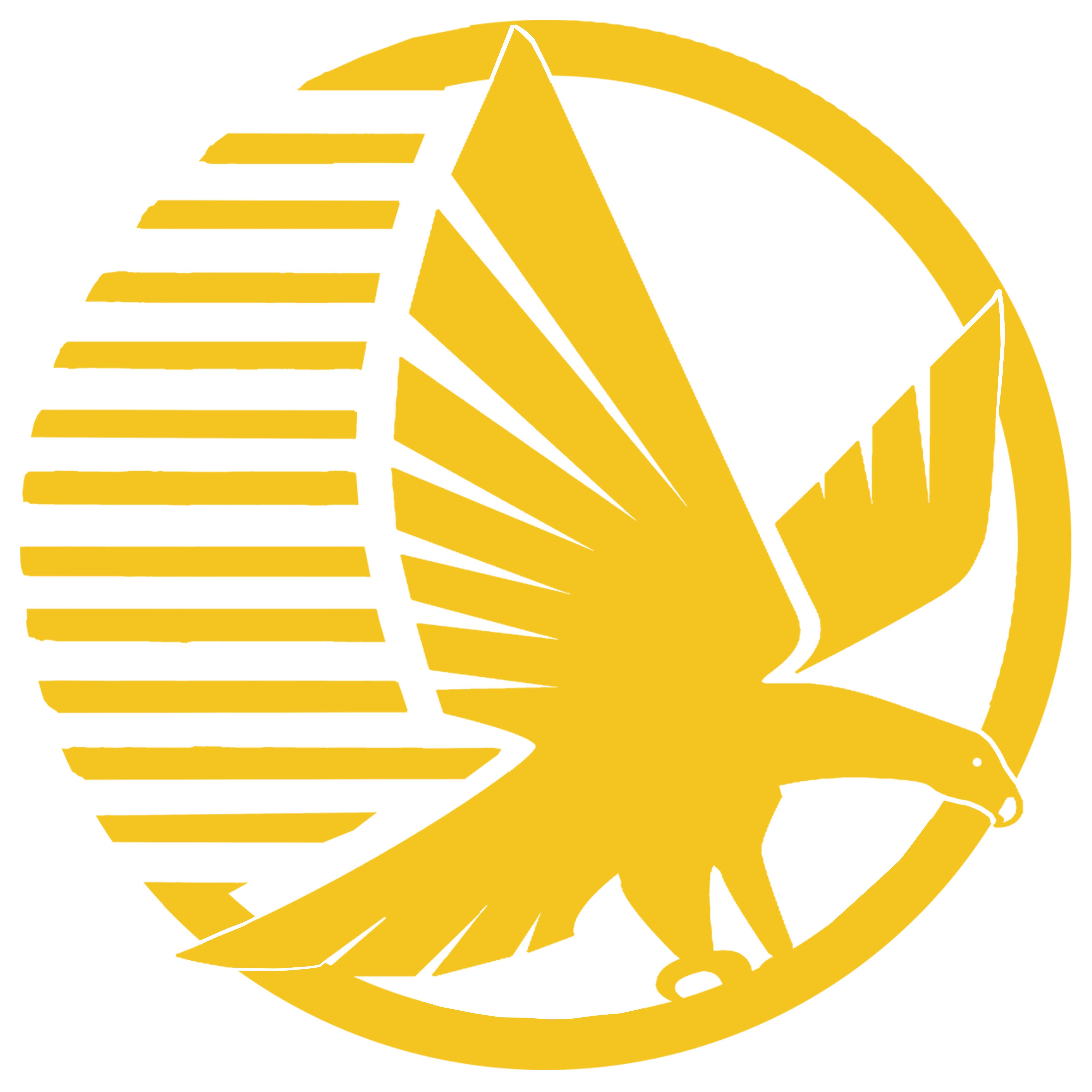 Blue and Yellow Falcon Logo - Partners » Dubai Gold & Commodities Exchange