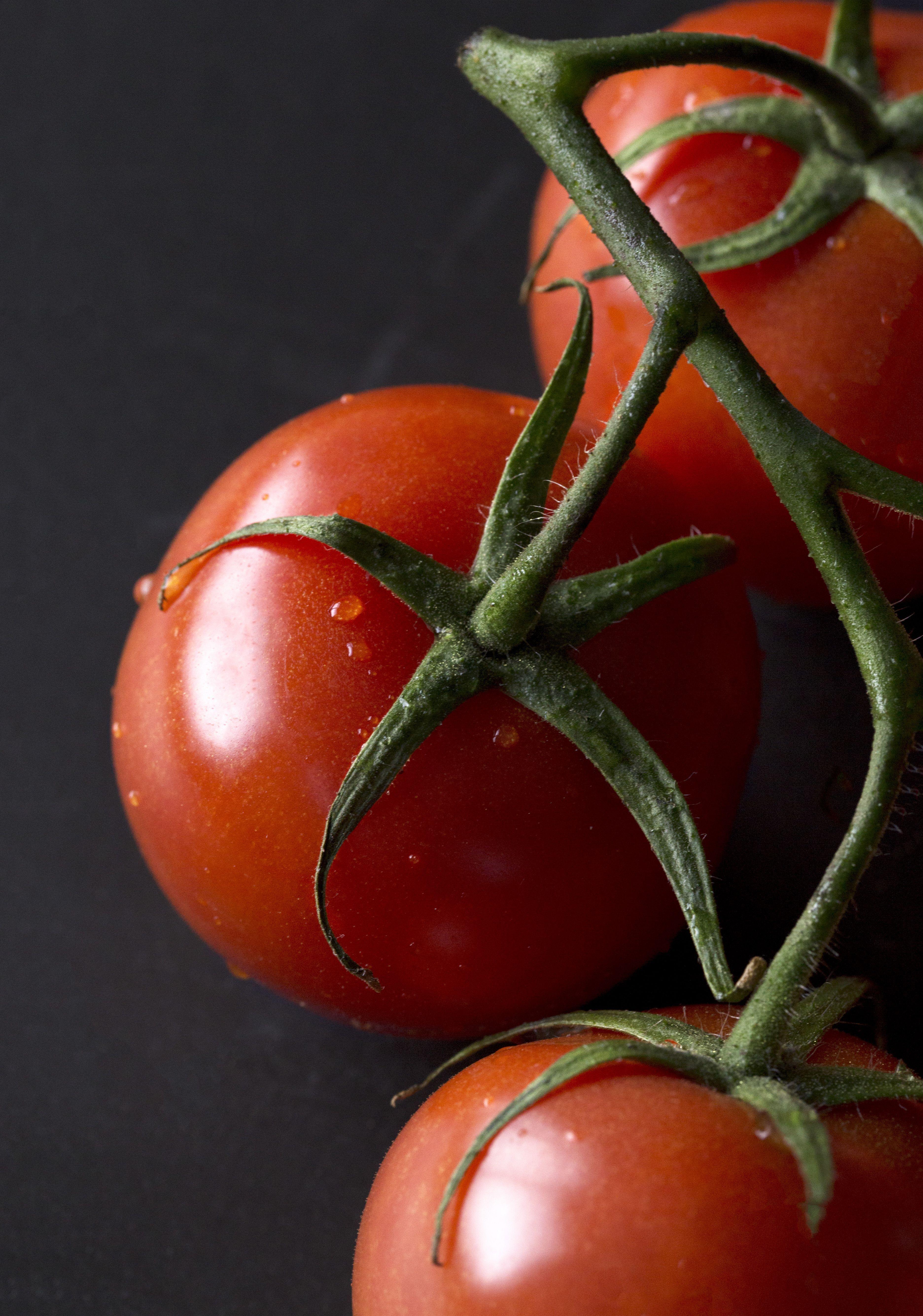 Tomator Paradise Logo - Truss Tomatoes