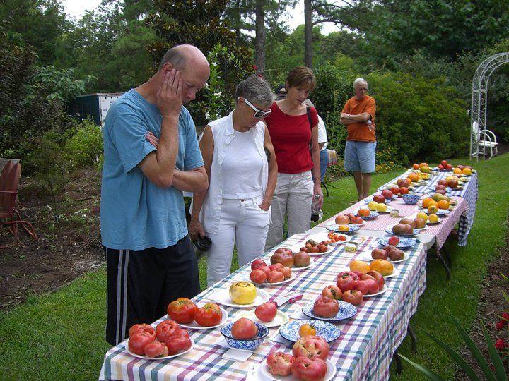 Tomator Paradise Logo - A Visit to Rodger Winn's Tomato Paradise — Carolina Gold Rice Foundation