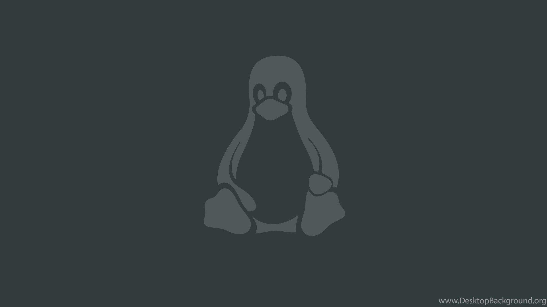 Original Linux Logo - Linux, Logo, Penguin HD Wallpaper Desktop Background