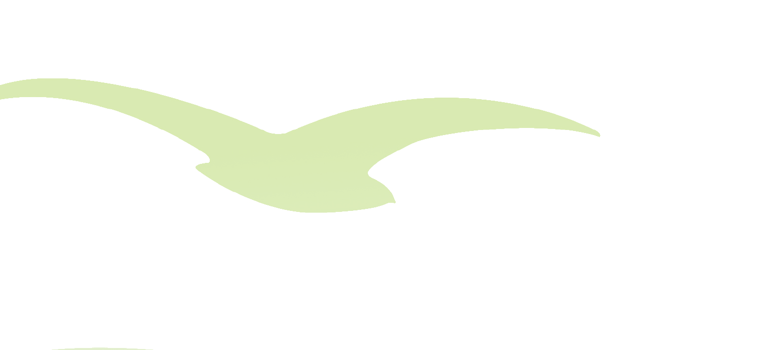 Faded Bird Logo - faded green bird | Using OmniFocus
