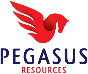 Pegasus Gas Logo - Pegasus Resources. Oil and Gas Resource Development
