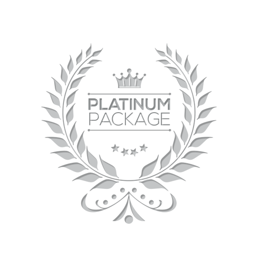 Platinum Logo - Unlimited Logo Designs & 5 Page Website for $825