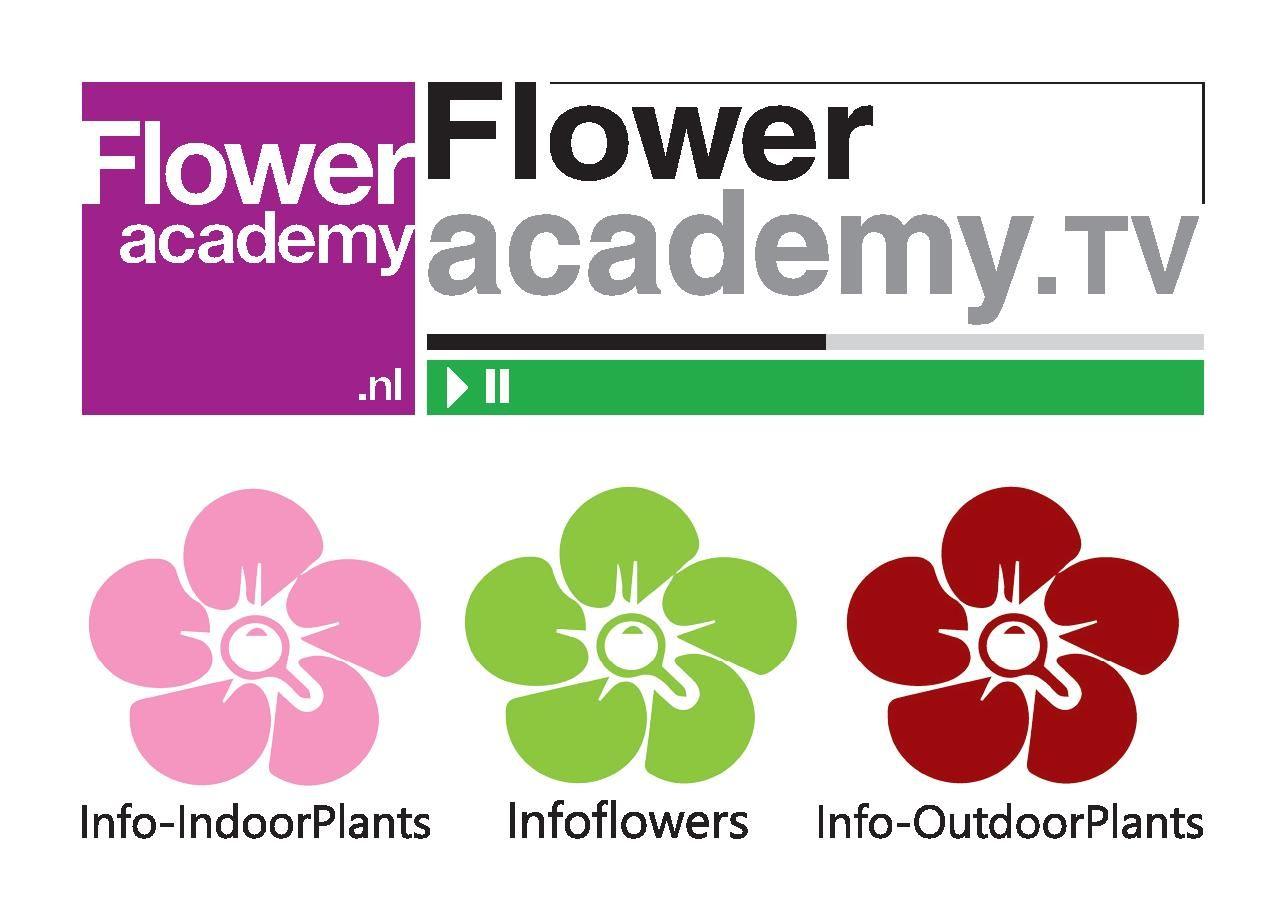 What Companies Use a Flower Logo - Over ons | Floweracademy.nl