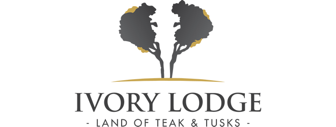Elephant Tusk Logo - Ivory Lodge Amalinda Safari Collection