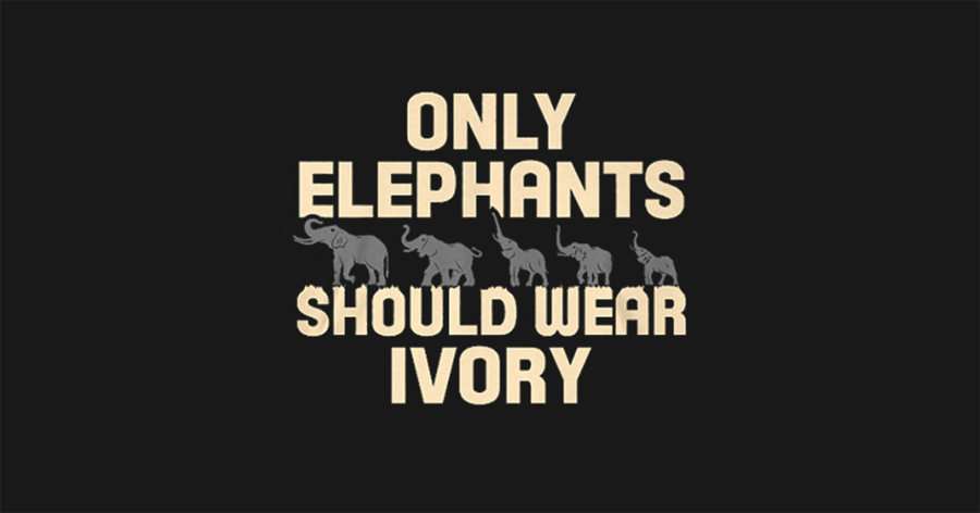 Elephant Tusk Logo - Did You Know? Only Elephants Should Wear Ivory | Community Warehouse