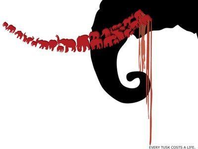 Elephant Tusk Logo - What should we do with illegal ivory? Art. | TreeHugger