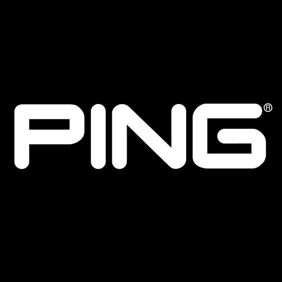 Small Ping Logo - Google Makes Mobile Search Faster With Ping Attribute. Thrive