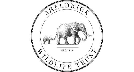 Elephant Tusk Logo - Kids Tusk Force UK - Helping To Protect Elephants With The Sheldrick ...
