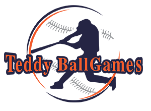 South Bend Logo - Teddy Ball Games in South Bend - $100 Certificate for $50