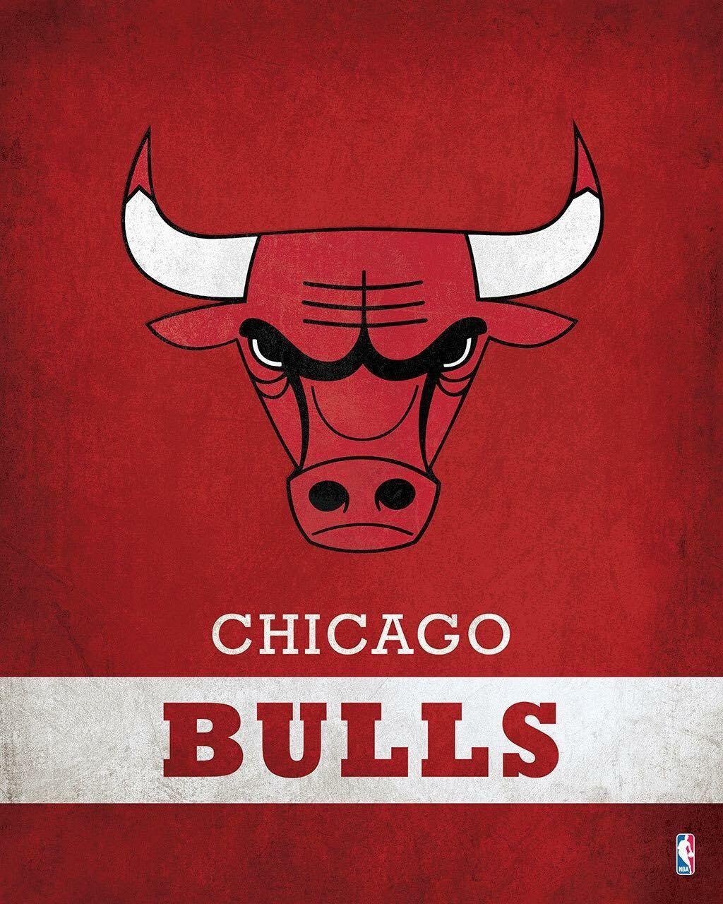 Bull Jordan 23 Logo - Pin by Grizzly Man on Chicago Bulls | Chicago Bulls, NBA, Chicago