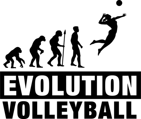 Cool Volleyball Logo - volleyball evolution 2 f1 Custom Ideas - Hicustom.net