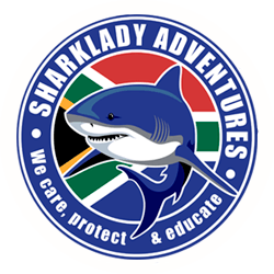 Great White Shark Logo - 10 INTERESTING FACTS ABOUT GREAT WHITE SHARKS - Sharklady Adventures
