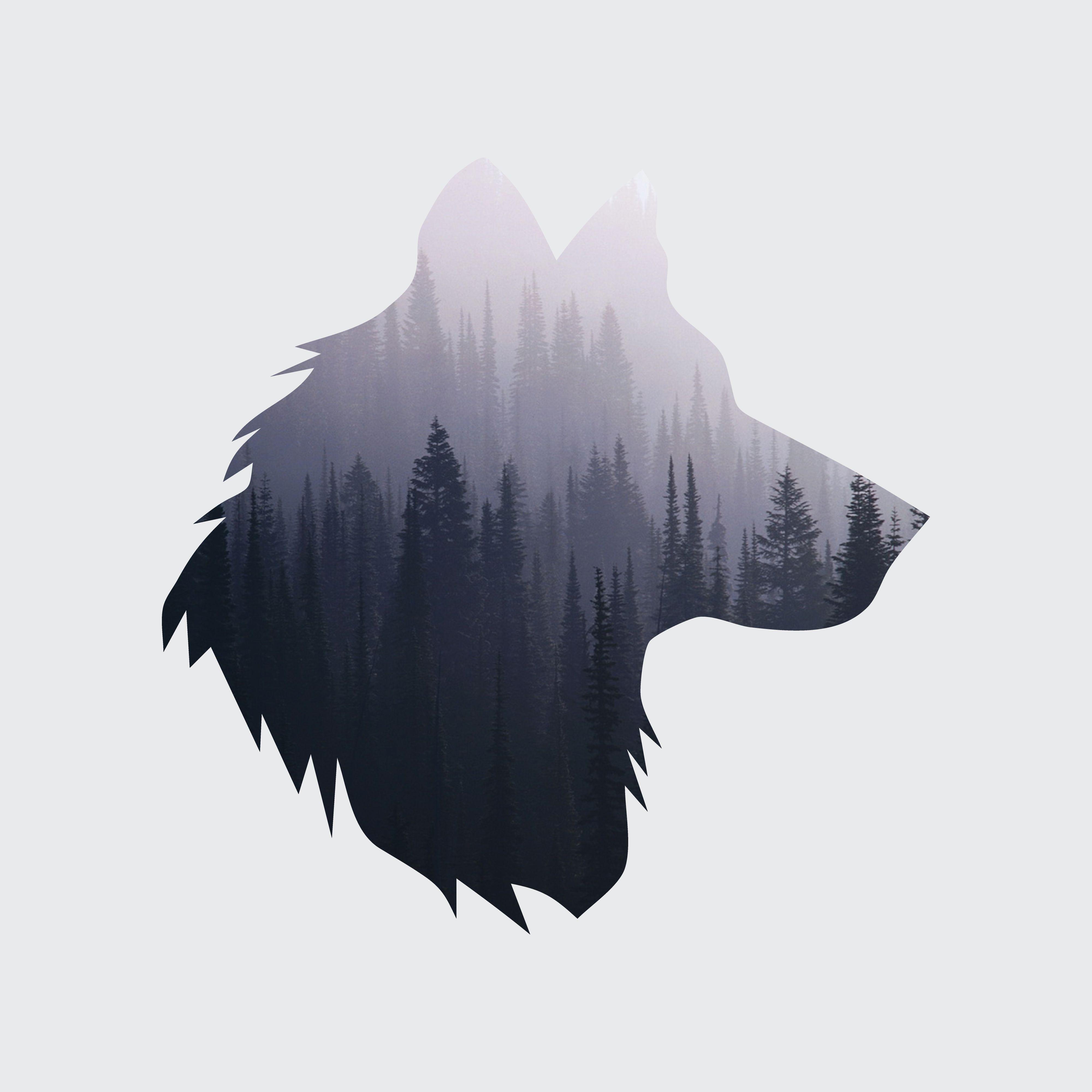 Cool Simple Wolf Logo - Pin by EmJay Hong on Characters | Drawings, Art, Illustration art