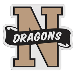 N Shaped Logo - N-Shaped Custom Letter Magnet / Badge | TrophyCentral