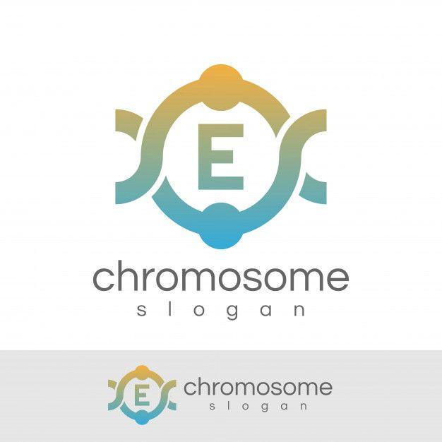 Initial E Logo - Chromosome initial Letter E Logo design Vector | Premium Download