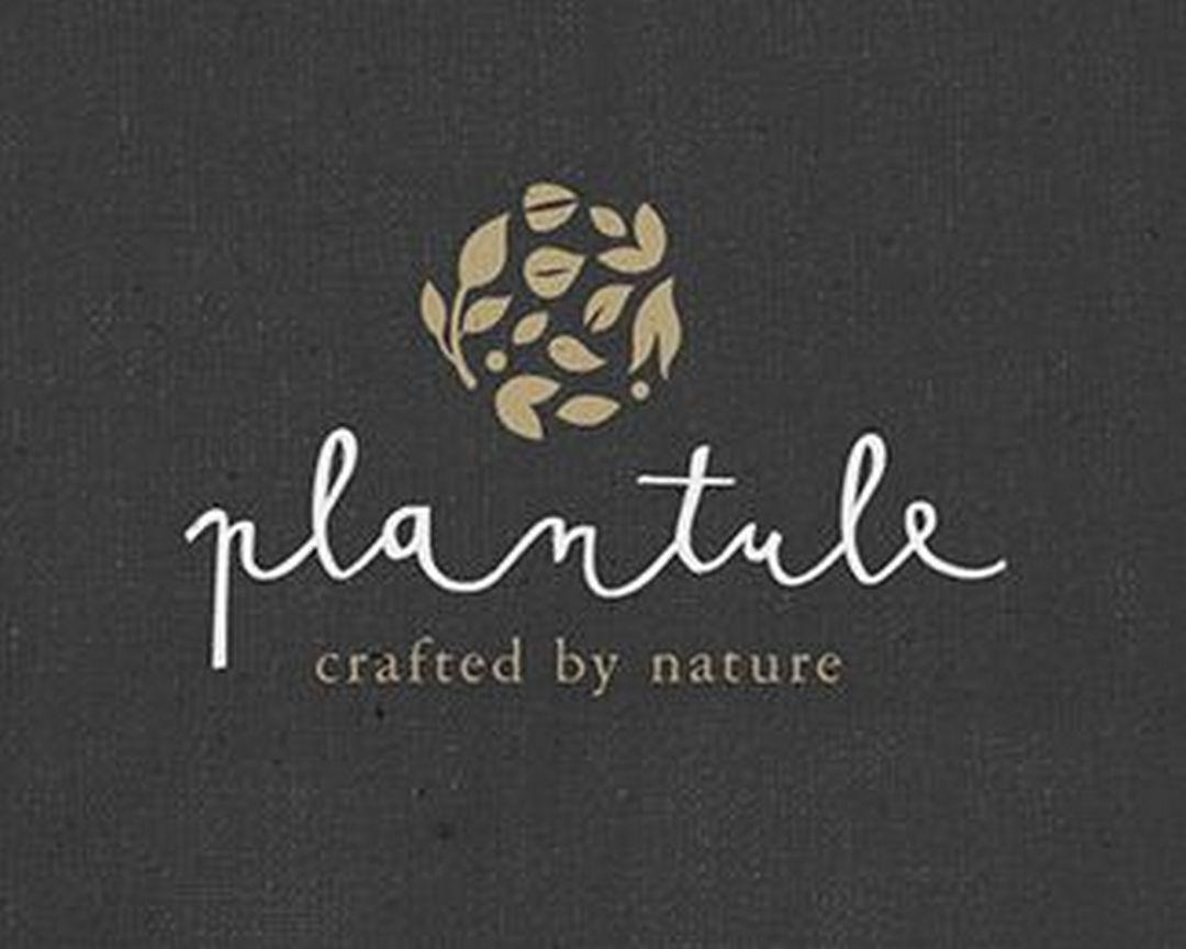 Zen Food Logo - Ways to Use Nature Logo Design for Your Brand. B R A N D