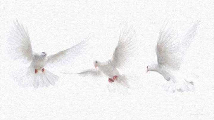 Three White Dove Logo - Three White Doves - GabriellasArt by Gabriella Weninger-David ...