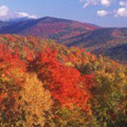 Red Square with White Mountain Logo - White Mountain Foliage Bear Notch Photograph by John Burk