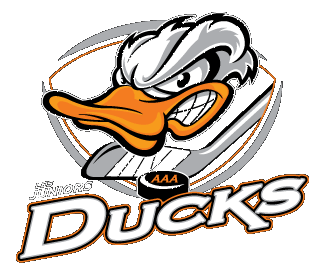 Ducks Logo - Welcome – Juniors Ducks AAA