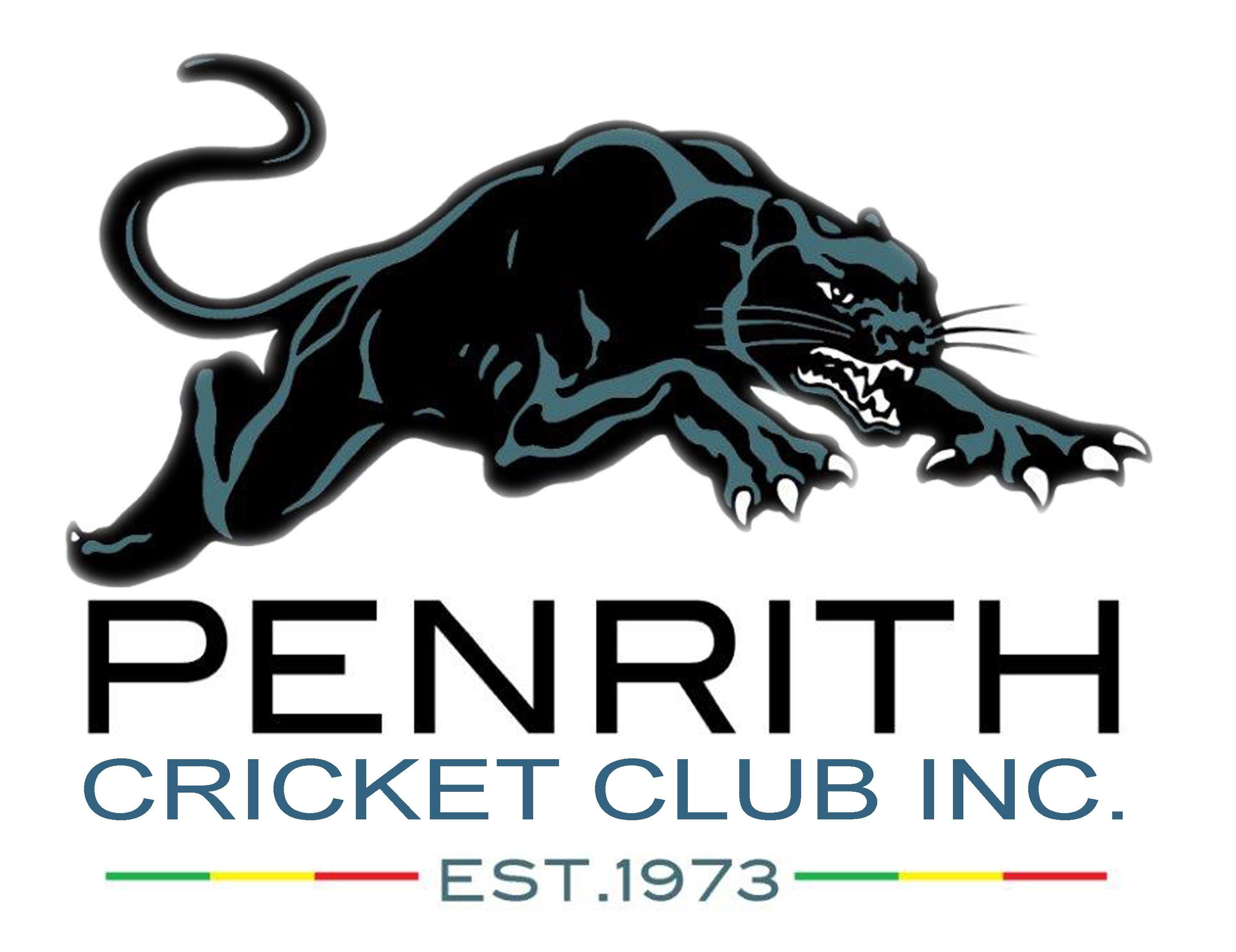 Cricket Club Logo - Penrith District Cricket Club