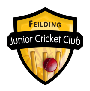 Cricket Club Logo - Professional Logo Designs. Club Logo Design Project for a